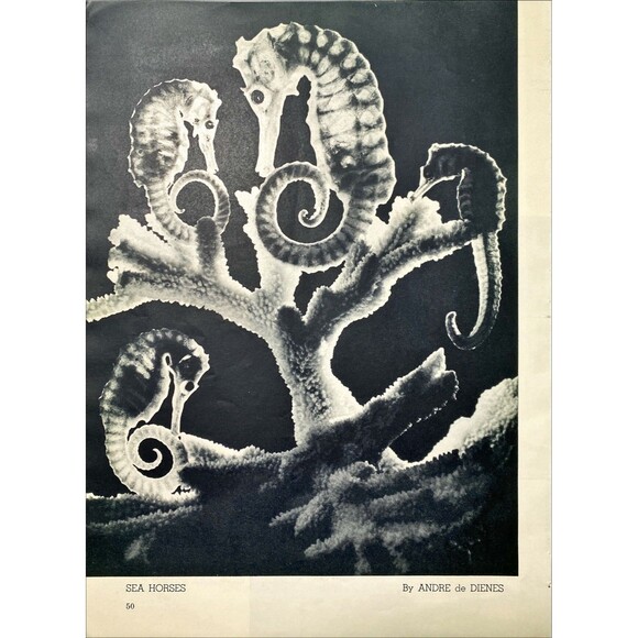 Ephemera 24+ Pages 5.3 oz Pictures Articles Popular Photography Magazine Jan '41 - Picture 4 of 4